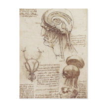 Leonardo da Vinci - Brain Physiology