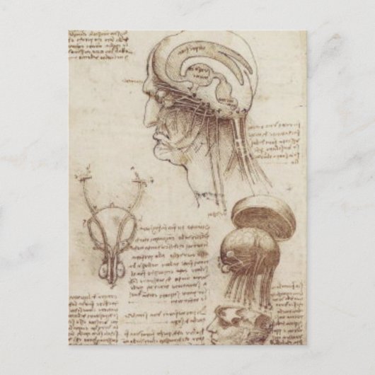 Leonardo da Vinci - Brain Physiology Briefkaart (Voorkant)