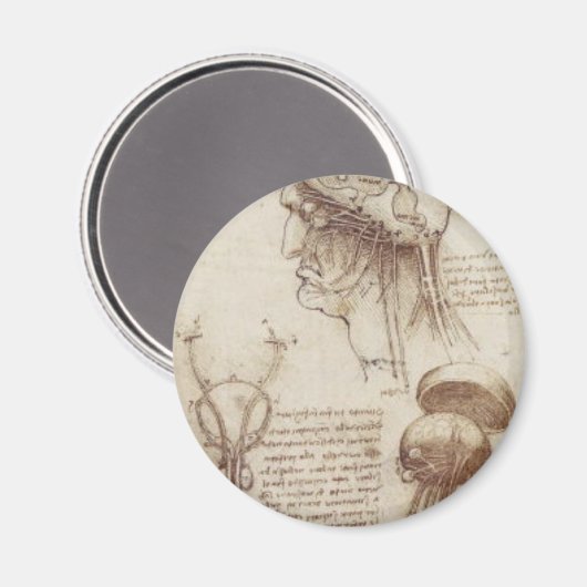 Leonardo da Vinci - Brain Physiology Magneet (Voorkant / Achterkant)