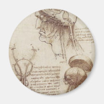 Leonardo da Vinci - Brain Physiology