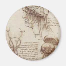Leonardo da Vinci - Brain Physiology Magneet