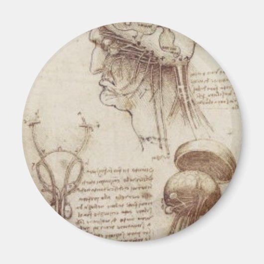 Leonardo da Vinci - Brain Physiology Magneet (Voorkant)