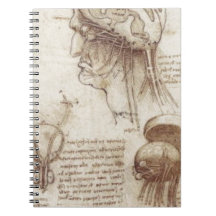 Leonardo da Vinci - Brain Physiology