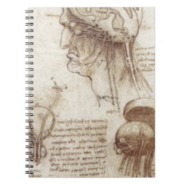 Leonardo da Vinci - Brain Physiology Notitieboek