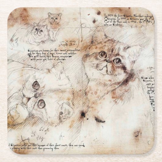 Leonardo da Vinci Cat Sketch Onderzetter (Voorkant)