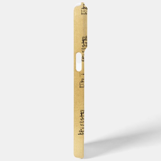 Leonardo da Vinci Dame met Ermine Case-Mate iPhone Case (Achterkant / Rechts)