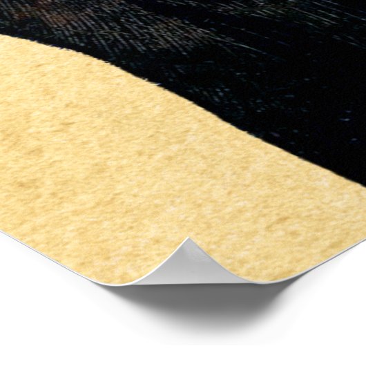 Leonardo da Vinci Dame met Ermine Poster (Hoek)