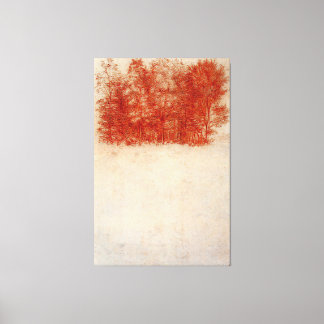 Leonardo da Vinci - Een bos van bomen (1508) Canvas Afdruk