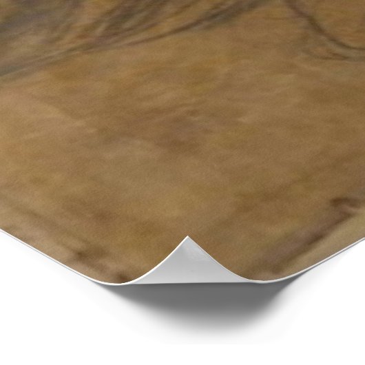 Leonardo da Vinci Fine Art Poster (Hoek)