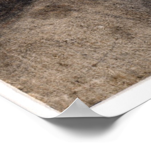 Leonardo da Vinci Hoofd van de Maagd Poster (Hoek)