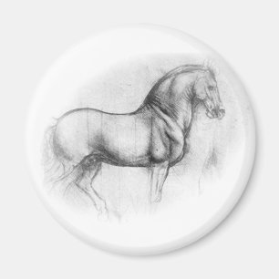 Leonardo Da Vinci Horse magnet
