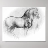 Leonardo Da Vinci Horse poster (Voorkant)