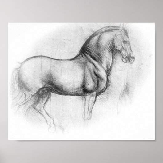 Leonardo Da Vinci Horse poster (Voorkant)