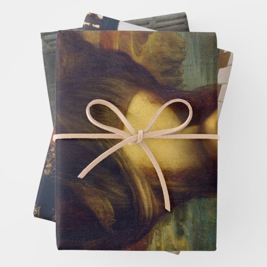 Leonardo da Vinci Inpakpapier Vel (In situ)