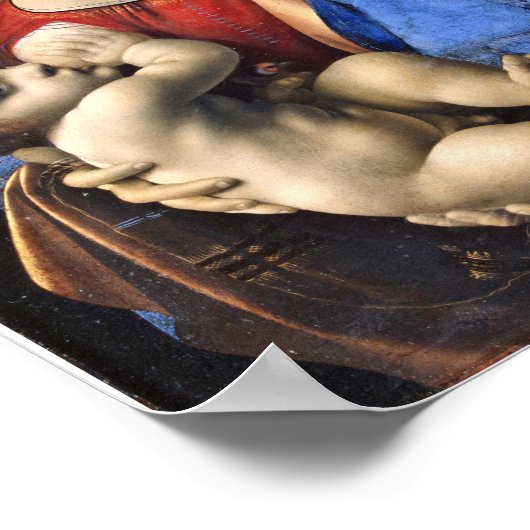 Leonardo da Vinci - Madonna en het kind Poster (Hoek)