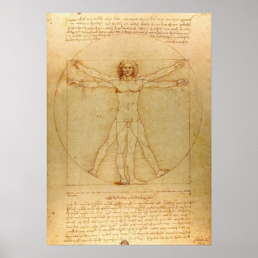 Leonardo da Vinci, Man van Vitruvius, gulden snede Poster (Voorkant)