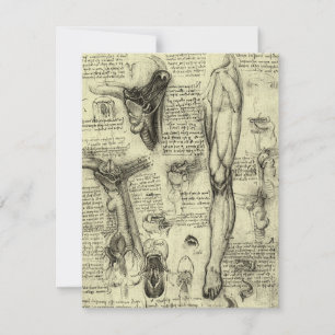 Leonardo da Vinci Menselijke Anatomie Larynxbeen