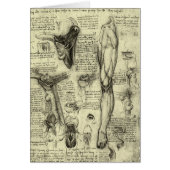 Leonardo da Vinci  Menselijke Anatomie Larynxbeen (Voorkant)