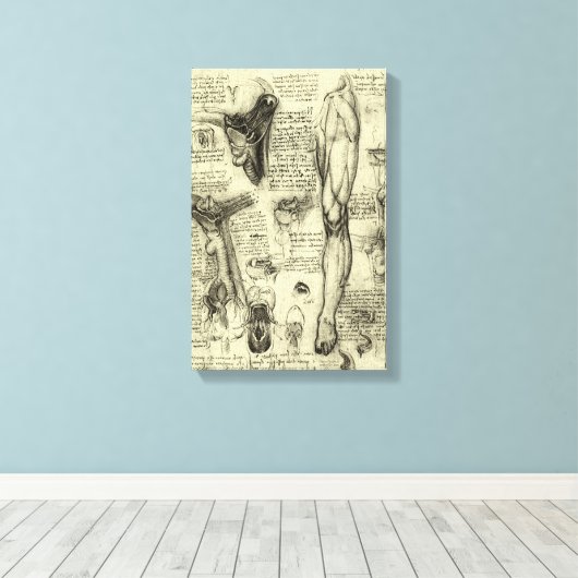 Leonardo da Vinci  Menselijke Anatomie Larynxbeen Canvas Afdruk (Insitu (Houten vloer))