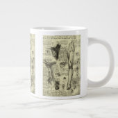 Leonardo da Vinci  Menselijke Anatomie Larynxbeen Grote Koffiekop (Rechts)