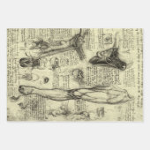 Leonardo da Vinci  Menselijke Anatomie Larynxbeen Inpakpapier Vel (Voorkant 2)
