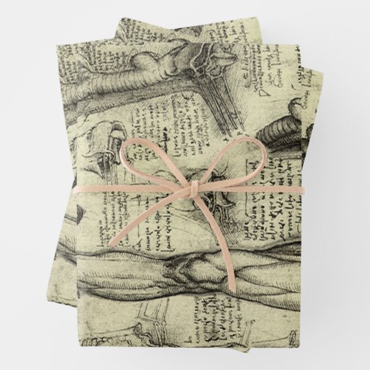 Leonardo da Vinci  Menselijke Anatomie Larynxbeen Inpakpapier Vel (In situ)