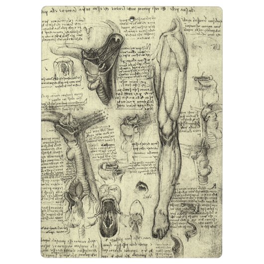 Leonardo da Vinci Menselijke Anatomie Larynxbeen Klembord (Achterkant)