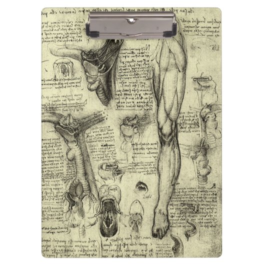 Leonardo da Vinci  Menselijke Anatomie Larynxbeen Klembord (Voorkant)