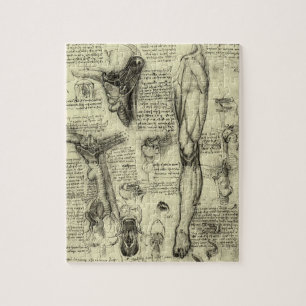Leonardo da Vinci  Menselijke Anatomie Larynxbeen Legpuzzel