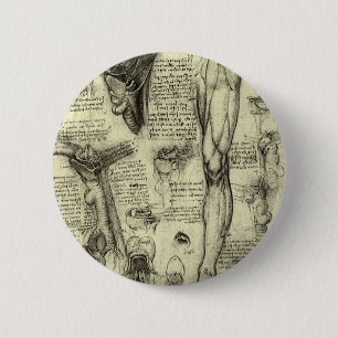 Leonardo da Vinci  Menselijke Anatomie Larynxbeen Ronde Button 5,7 Cm