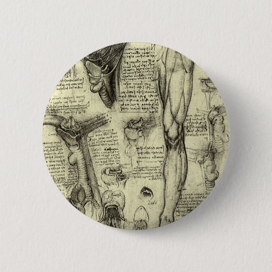 Leonardo da Vinci  Menselijke Anatomie Larynxbeen Ronde Button 5,7 Cm (Voorkant)