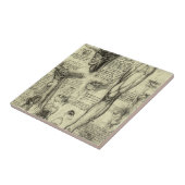 Leonardo da Vinci  Menselijke Anatomie Larynxbeen Tegeltje (Zijkant)