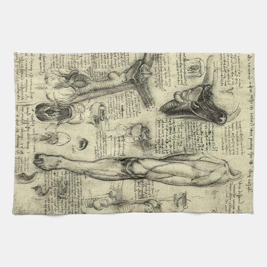 Leonardo da Vinci  Menselijke Anatomie Larynxbeen Theedoek (Horizontaal)