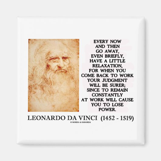 Leonardo da Vinci Relaxation Work Assessment Power Magneet (Voorkant)