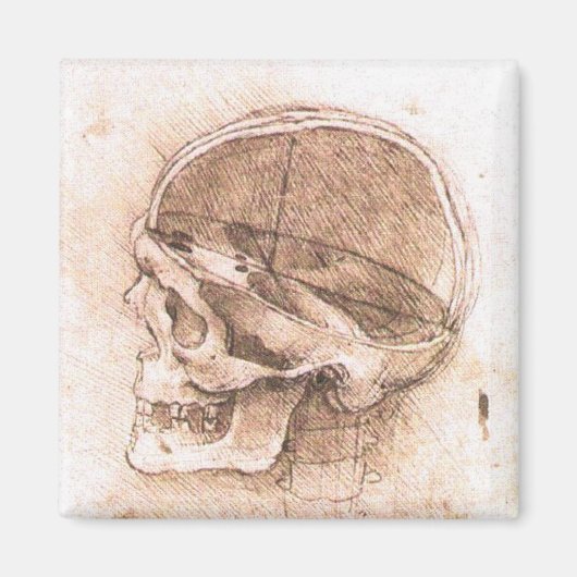 Leonardo da Vinci Schedel Anatomie Fine Art Magneet (Voorkant)