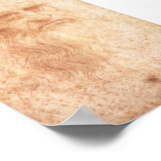 Leonardo da Vinci Self Portrait Poster c. 1513 (Hoek)