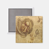 Leonardo Da Vinci - Studie naar de anatomie Magneet (Voorkant / Achterkant)