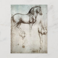 Leonardo da Vinci - Studie naar een paard