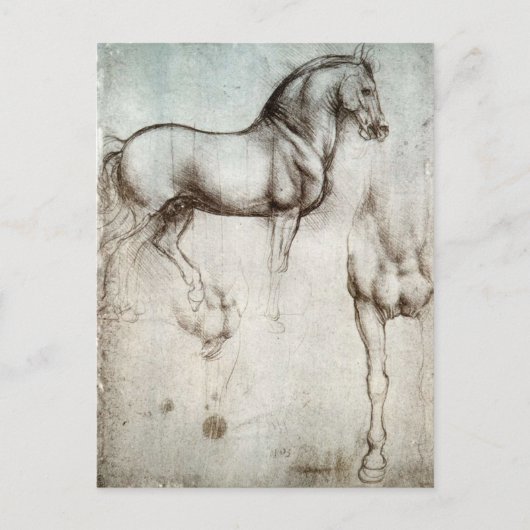 Leonardo da Vinci - Studie naar een paard Briefkaart (Voorkant)