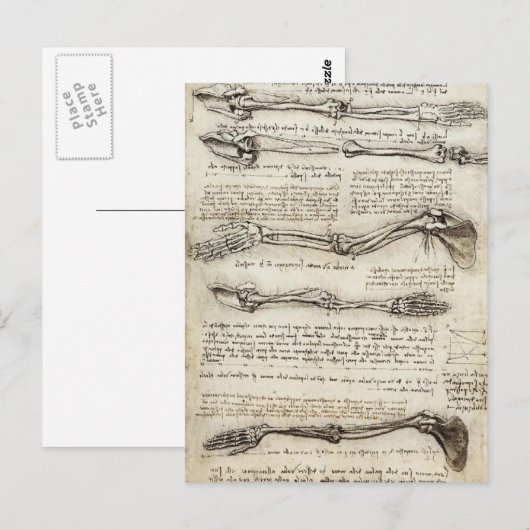Leonardo da Vinci: Studies of the Arm by the Bicep Briefkaart (Voorkant / Achterkant)