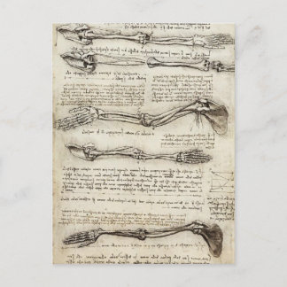 Leonardo da Vinci: Studies of the Arm by the Bicep Briefkaart