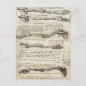 Leonardo da Vinci: Studies of the Arm by the Bicep Briefkaart (Voorkant)
