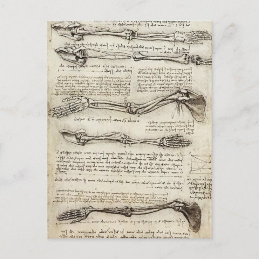 Leonardo da Vinci: Studies of the Arm by the Bicep Briefkaart (Voorkant)