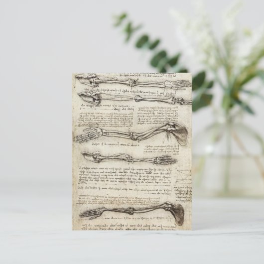 Leonardo da Vinci - Studies van het Armkunstwerk Briefkaart (Staand voorkant)