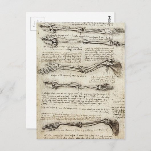 Leonardo da Vinci - Studies van het Armkunstwerk Briefkaart (Voorkant / Achterkant)