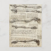 Leonardo da Vinci - Studies van het Armkunstwerk Briefkaart (Voorkant)