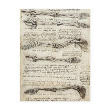 Leonardo da Vinci - Studies van het Armkunstwerk