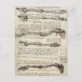 Leonardo da Vinci - Studies van het Armkunstwerk Briefkaart