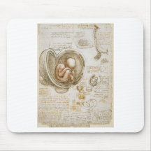 Leonardo da Vinci Studies voor de foetus in de baa