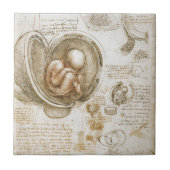 Leonardo da Vinci Studies voor de foetus in de baa Tegeltje (Voorkant)